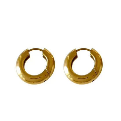 Polished Alloy Hoop Earring E830 - Fancy Earrings