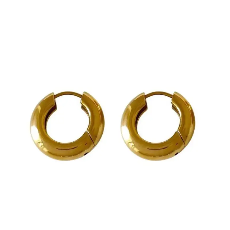 Polished Alloy Hoop Earring E830 - Fancy Earrings