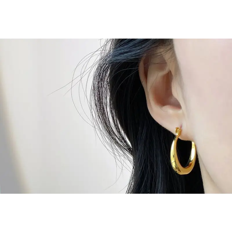 Polished Alloy Hoop Earring E831 - Gold / One Size - Fancy 