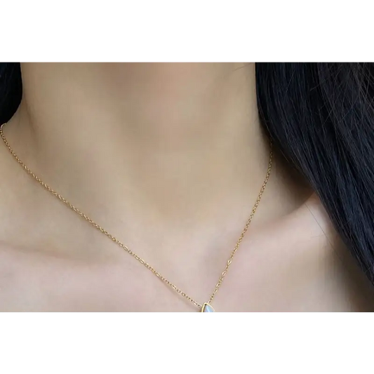 Shell Pendant Stainless Steel Necklace E834 - Gold / One 